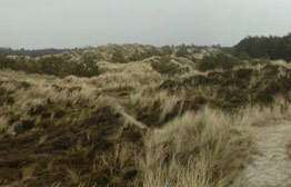 Informatie over Natura 2000