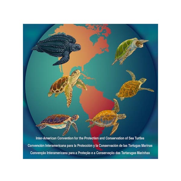 Logo Inter-Amerikaans Verdrag inzake de bescherming en het behoud van zeeschildpadden
